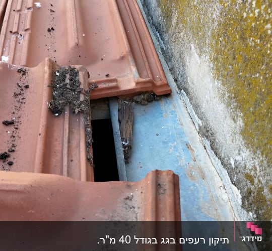 רעפים שבורים על גג עם לכלוך וטחב